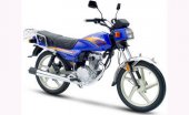 2010 Giantco Trooper 125 photo